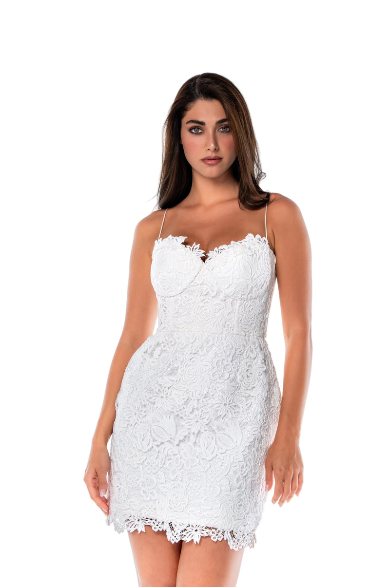 THE SECRET GARDEN MINI DRESS