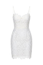 THE SECRET GARDEN MINI DRESS