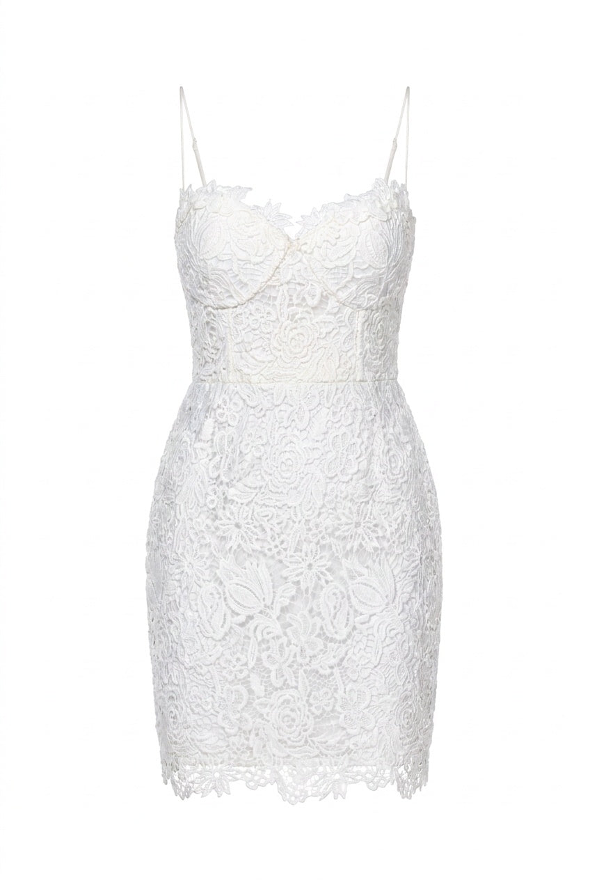 THE SECRET GARDEN MINI DRESS