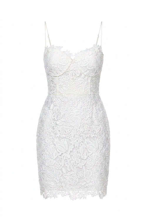 THE SECRET GARDEN MINI DRESS