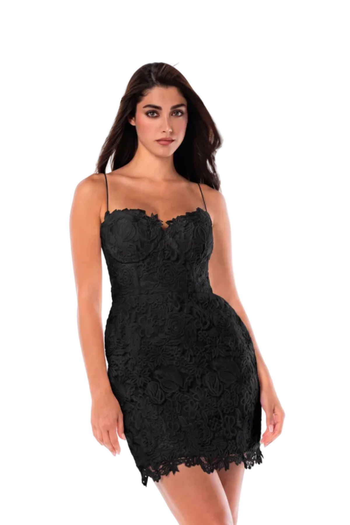 THE SECRET GARDEN MINI DRESS